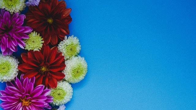 瓜迪奥拉偏 瓜迪奥拉偏