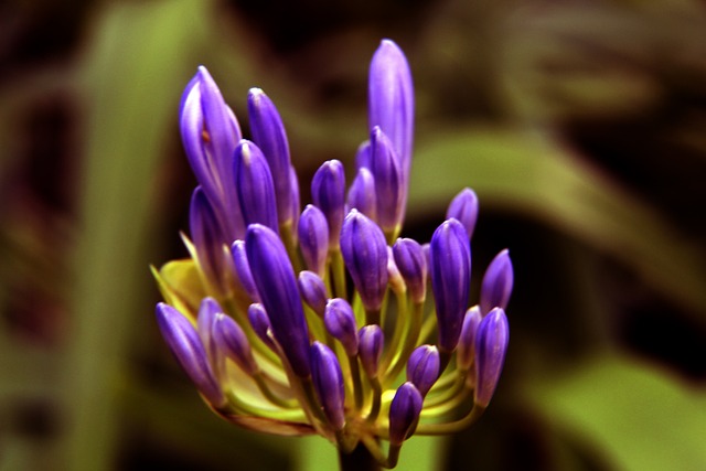 76人提前出局！三巨头无缘附加赛命运堪忧.