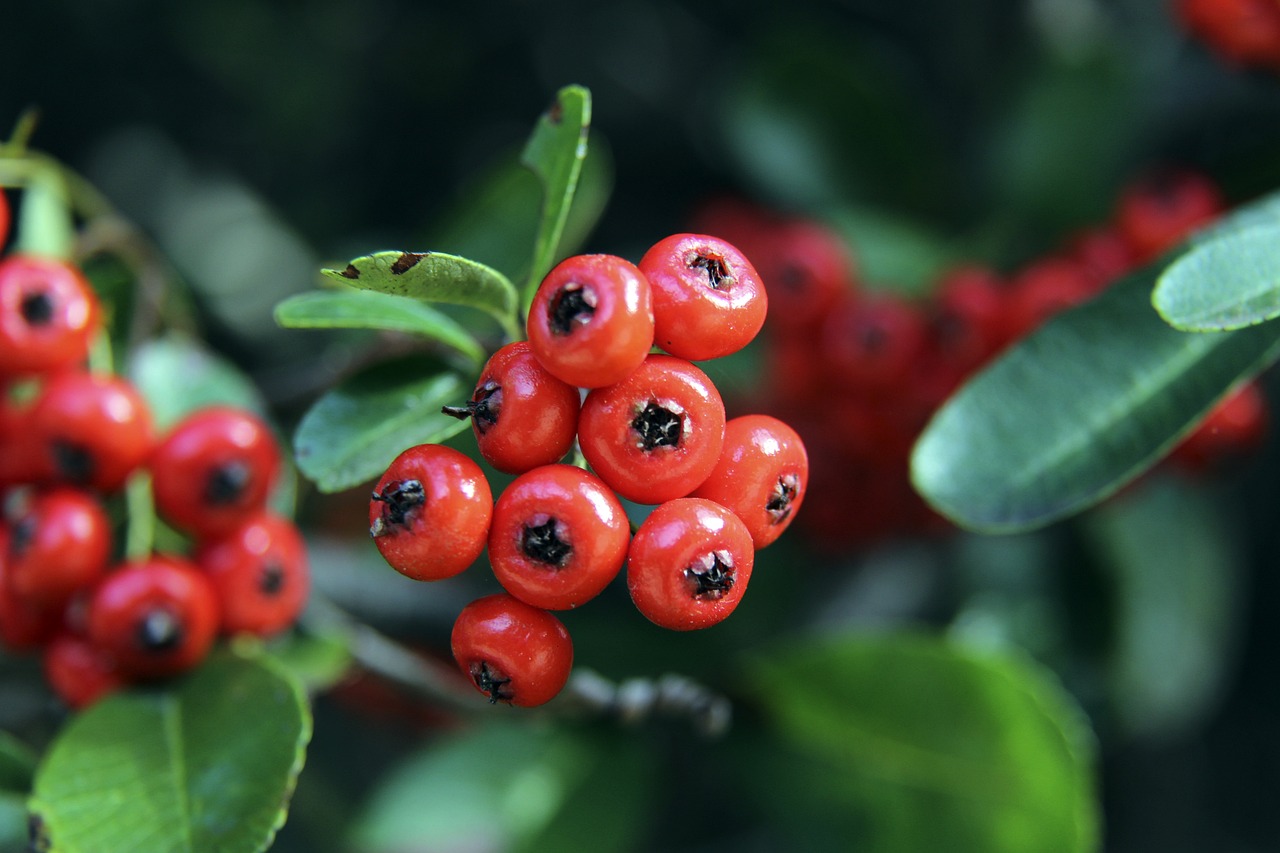 步行者创历史纪录，却黯然被忽视.