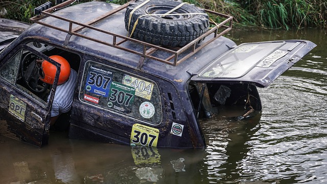 松的发展之 松的发展之
